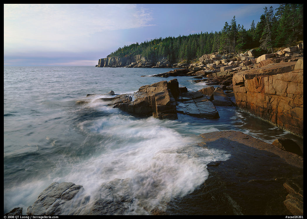 Surf and granite  coast near Otter Point, morning. Acadia National Park, Maine, USA.