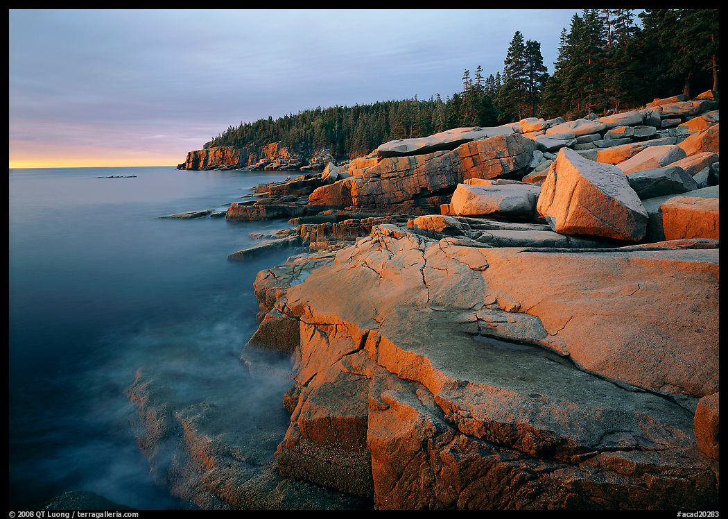 Granite slabs and Otter Point at sunrise. Acadia National Park, Maine, USA.