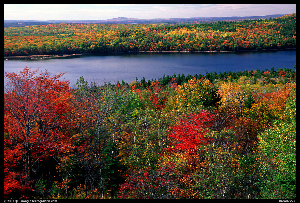 Jordan Pond, Atlantic Ocean, and autumn colors. Acadia National Park, Maine, USA.