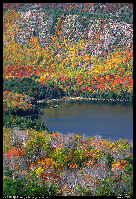Jordan pond, surrounded by hillsides covered with colorful trees in fall. Acadia National Park, Maine, USA.