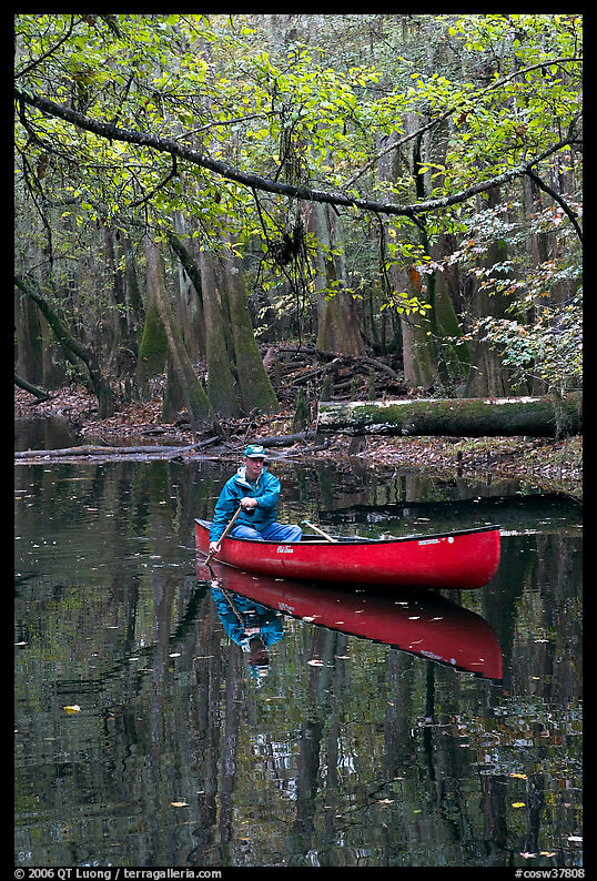 Canoing on Cedar Creek. Congaree National Park, South Carolina, USA.