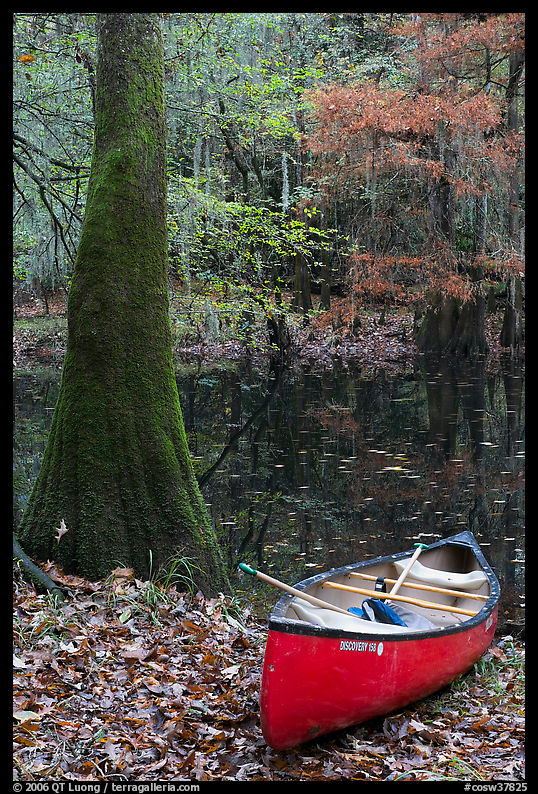 Red canoe on banks of Cedar Creek. Congaree National Park, South Carolina, USA.