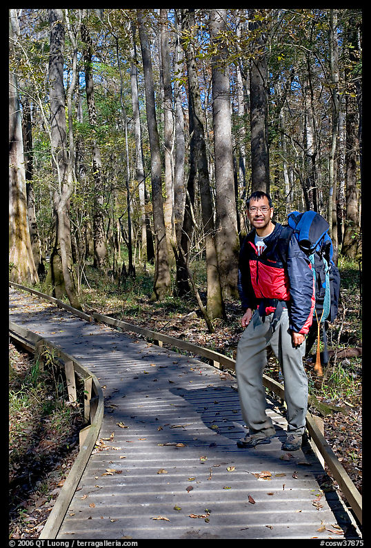 Hiker with backpack standing on boardwalk. Congaree National Park, South Carolina, USA.