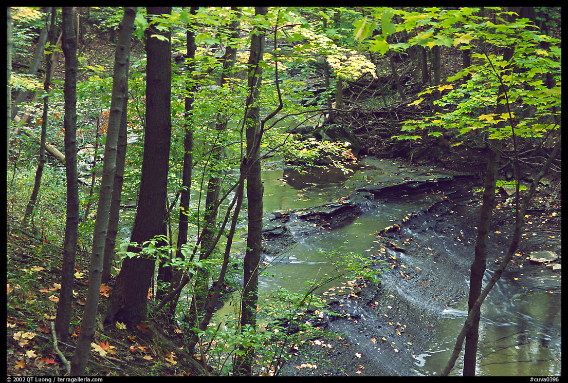 Trees and creek with Cascades near Bridalveil falls. Cuyahoga Valley National Park, Ohio, USA.