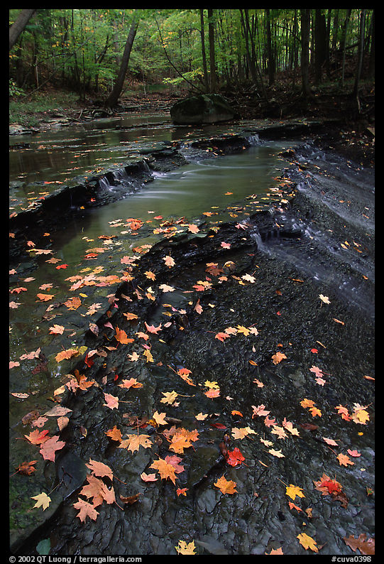 Fallen leaves and cascades near Bridalveil falls. Cuyahoga Valley National Park, Ohio, USA.