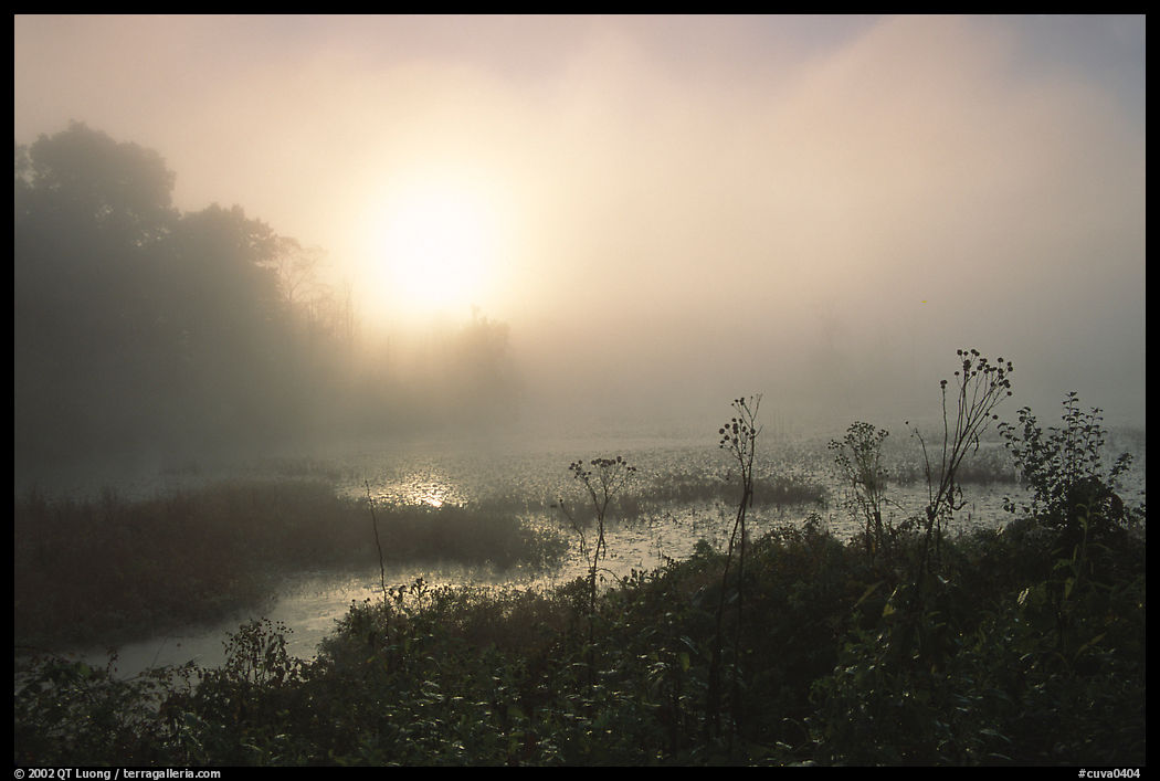 Beaver marsh at sunrise. Cuyahoga Valley National Park, Ohio, USA.