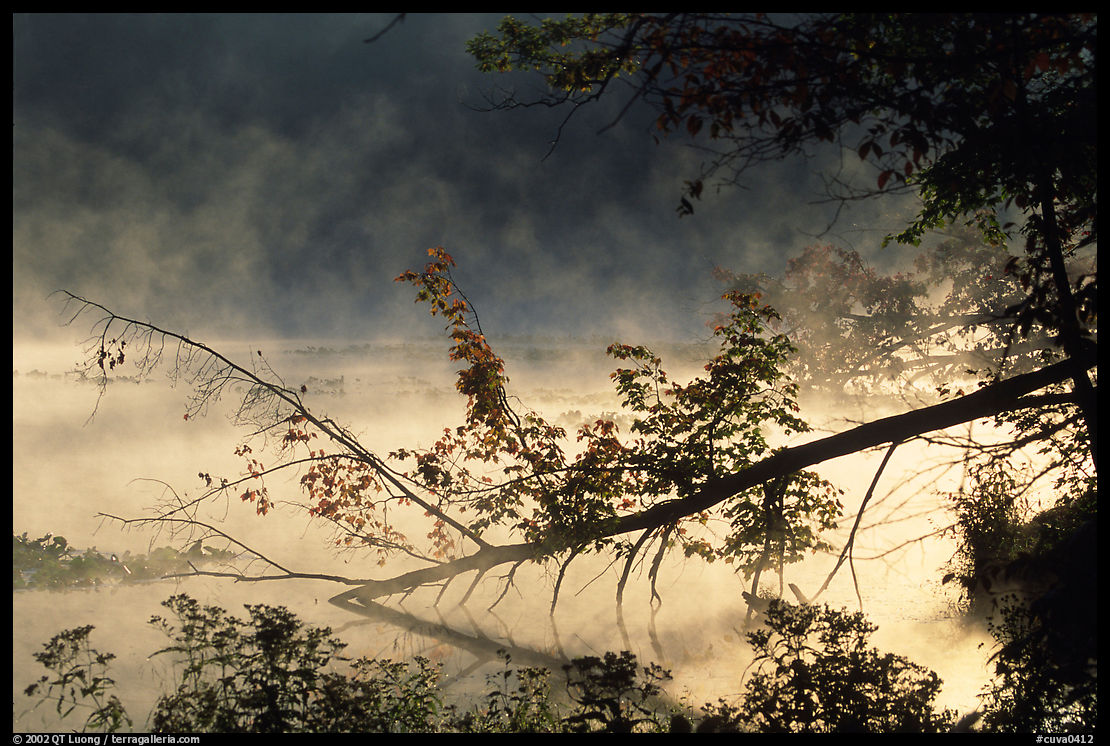 Fallen tree and mist raising from Kendal lake. Cuyahoga Valley National Park, Ohio, USA.