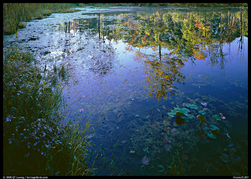 Autumn reflexion on Kendal lake. Cuyahoga Valley National Park, Ohio, USA.
