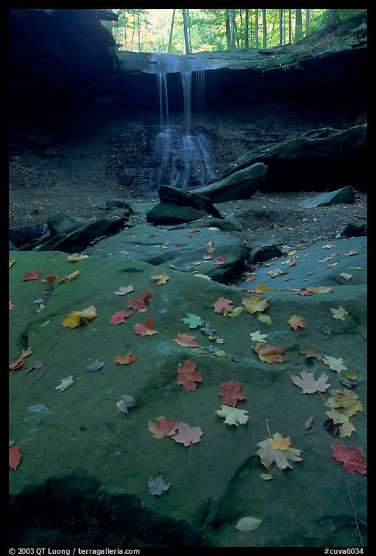 Fallen leaves on gren slabs and Blue Hen Falls. Cuyahoga Valley National Park, Ohio, USA.