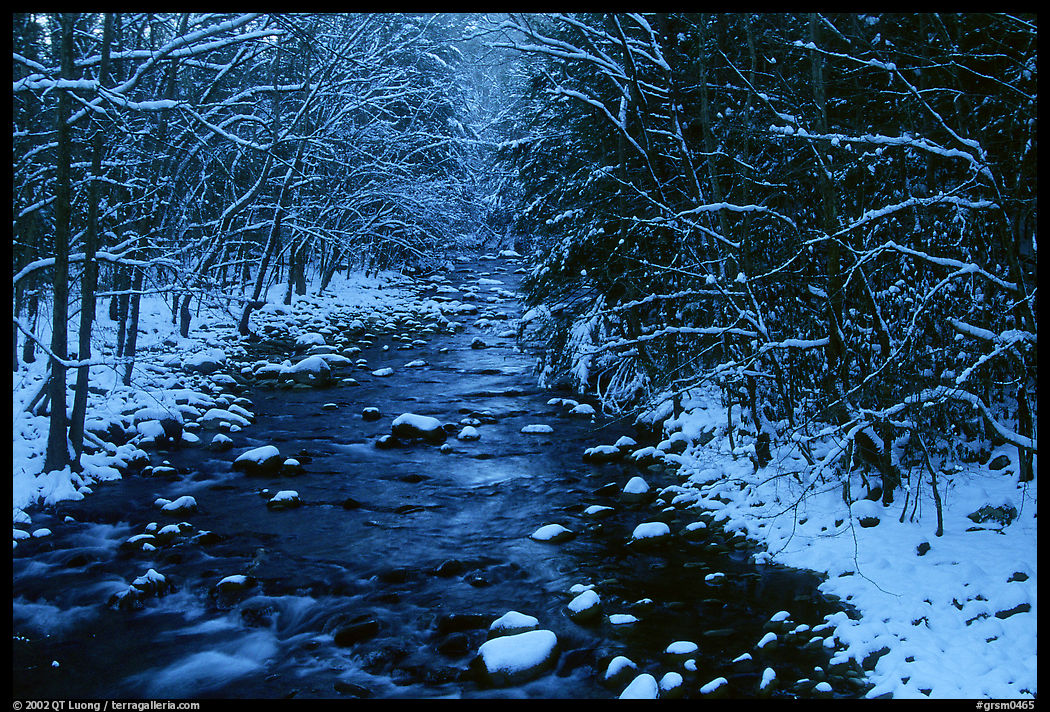 River in snowy forest, Tennessee. Great Smoky Mountains National Park, USA.