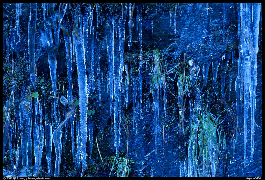 Icicles curtain, Tennessee. Great Smoky Mountains National Park, USA.