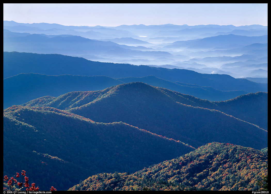 Forested and distant ridges in haze seen from Clingmans Dome, North Carolina. Great Smoky Mountains National Park, USA.