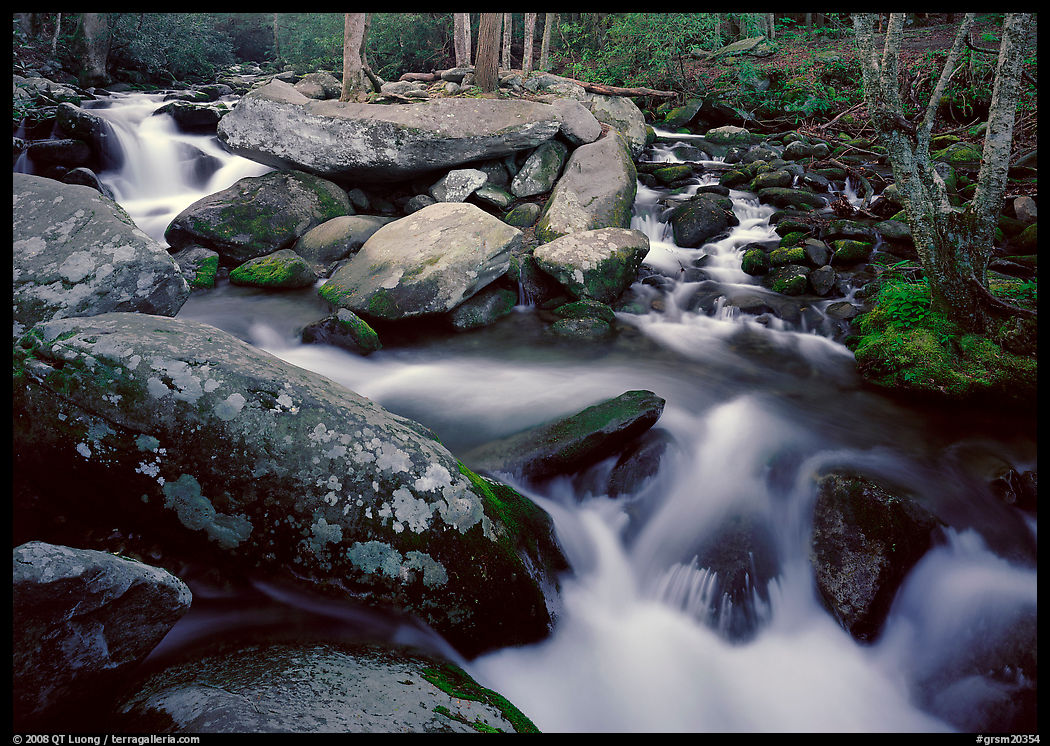 Stream, boulders, and trees, Roaring Fork, Tennessee. Great Smoky Mountains National Park, USA.