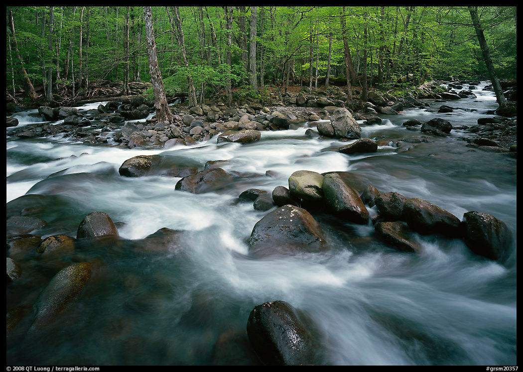 Confluence of the Middle Prong of the Little Pigeon River, Tennessee. Great Smoky Mountains National Park, USA.