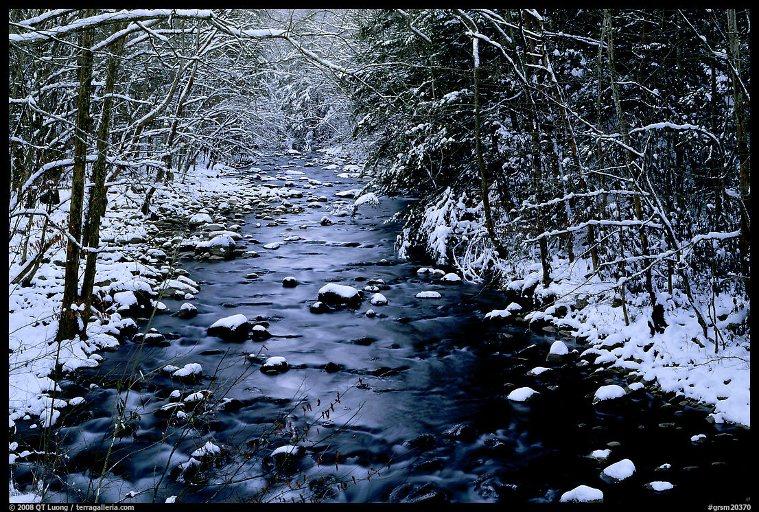 Snowy creek in winter. Great Smoky Mountains National Park, USA.