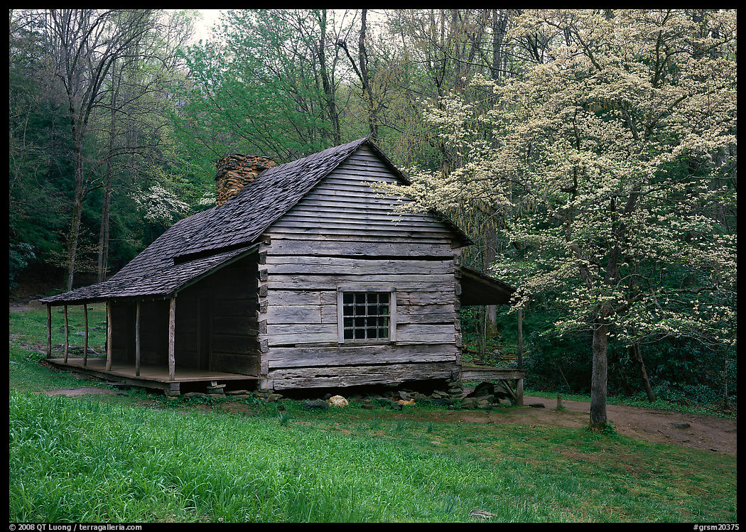 Noah Ogle log cabin in the spring, Tennessee. Great Smoky Mountains National Park, USA.