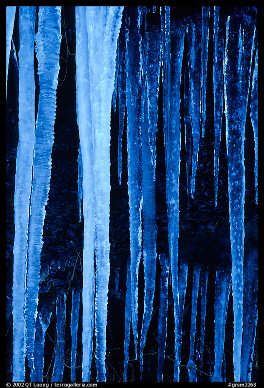 Icicles close-up, Tennessee. Great Smoky Mountains National Park, USA.