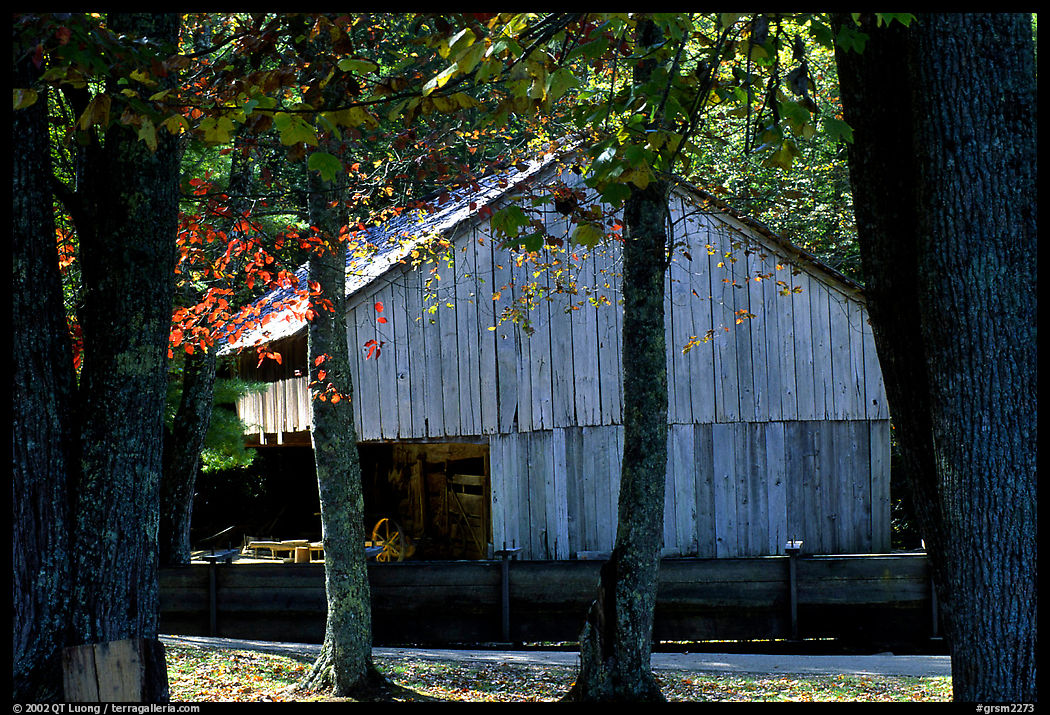 Barn in fall, Cades Cove, Tennessee. Great Smoky Mountains National Park, USA.