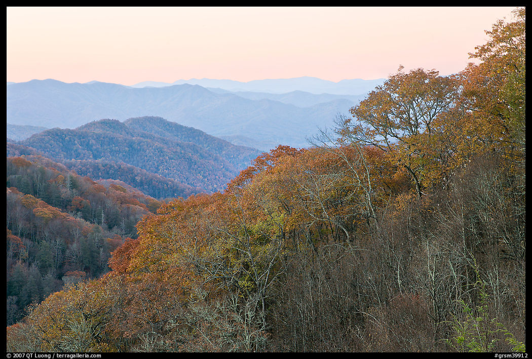 Ridge and mountains covered with trees in autuman foliage, dawn, North Carolina. Great Smoky Mountains National Park