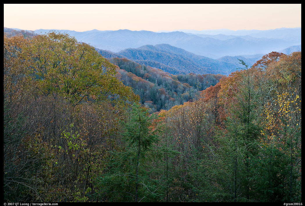 View over mountains in fall colors at dawn, North Carolina. Great Smoky Mountains National Park, USA.