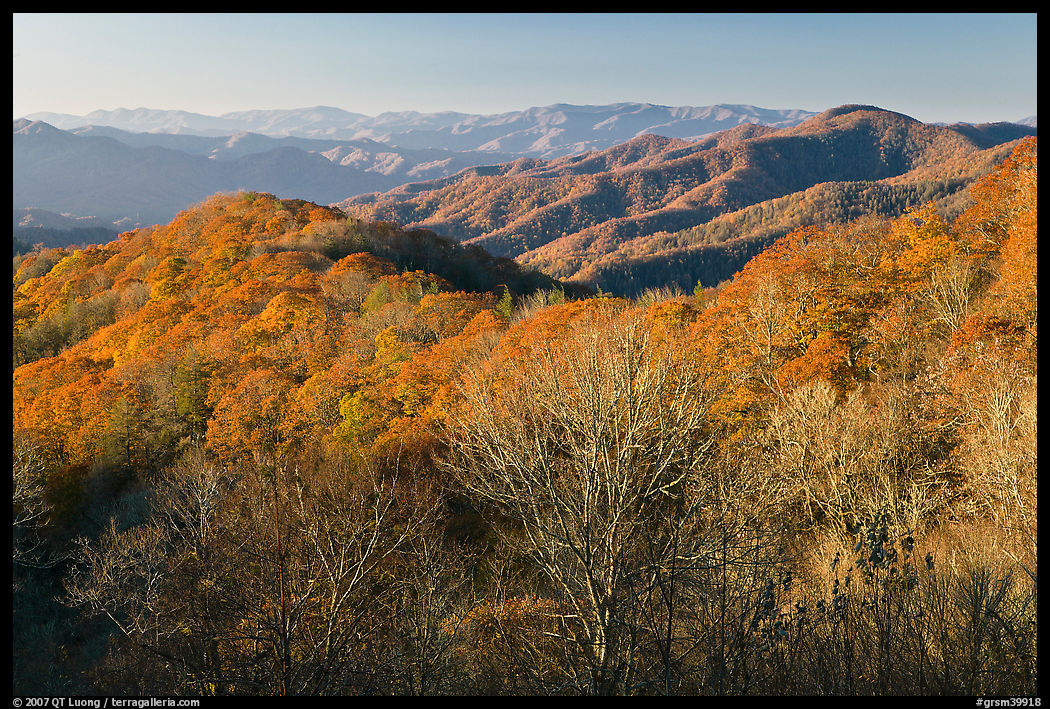 Mountains in autumn foliage, early morning, North Carolina. Great Smoky Mountains National Park, USA.