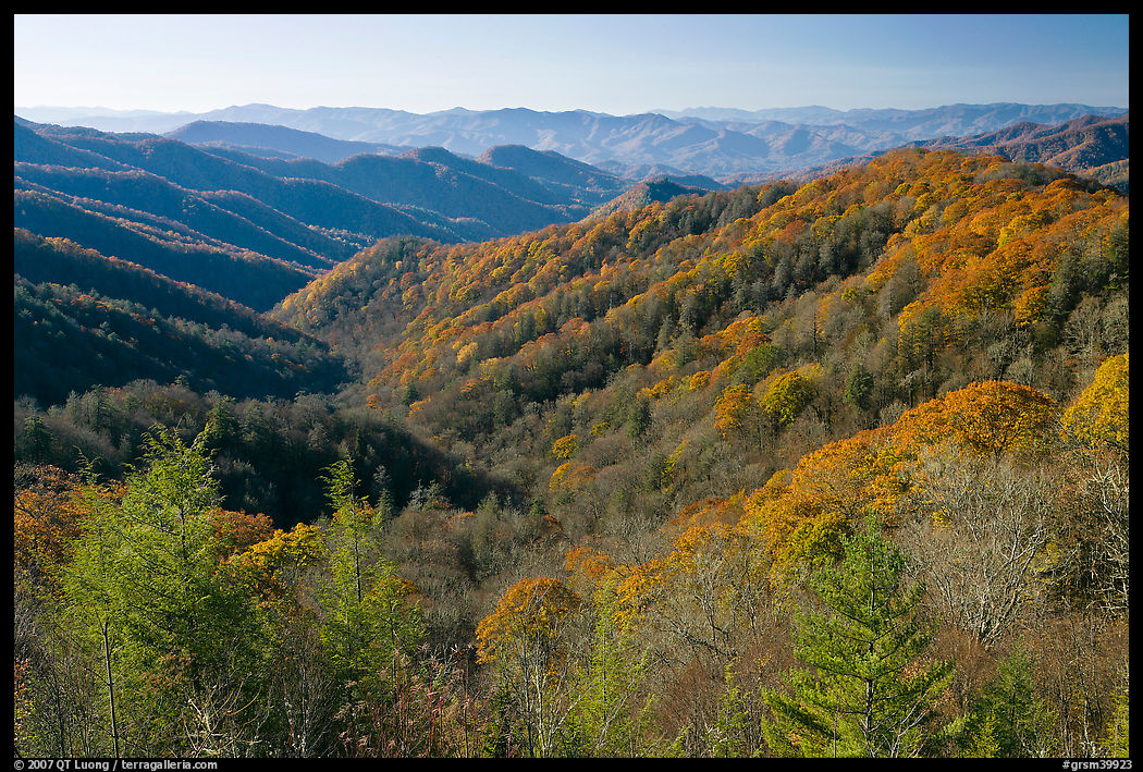 Vista of valley and mountains in fall foliage, morning, North Carolina. Great Smoky Mountains National Park, USA.