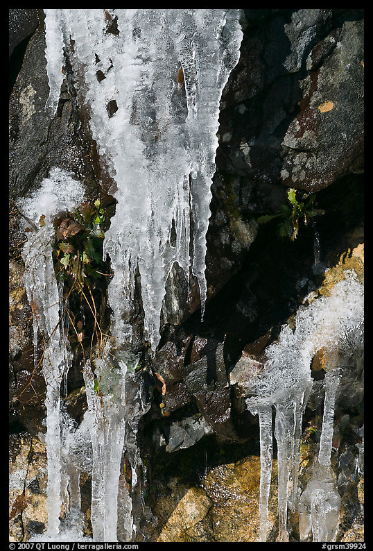 Icicles and rock, overnight frost, North Carolina. Great Smoky Mountains National Park, USA.