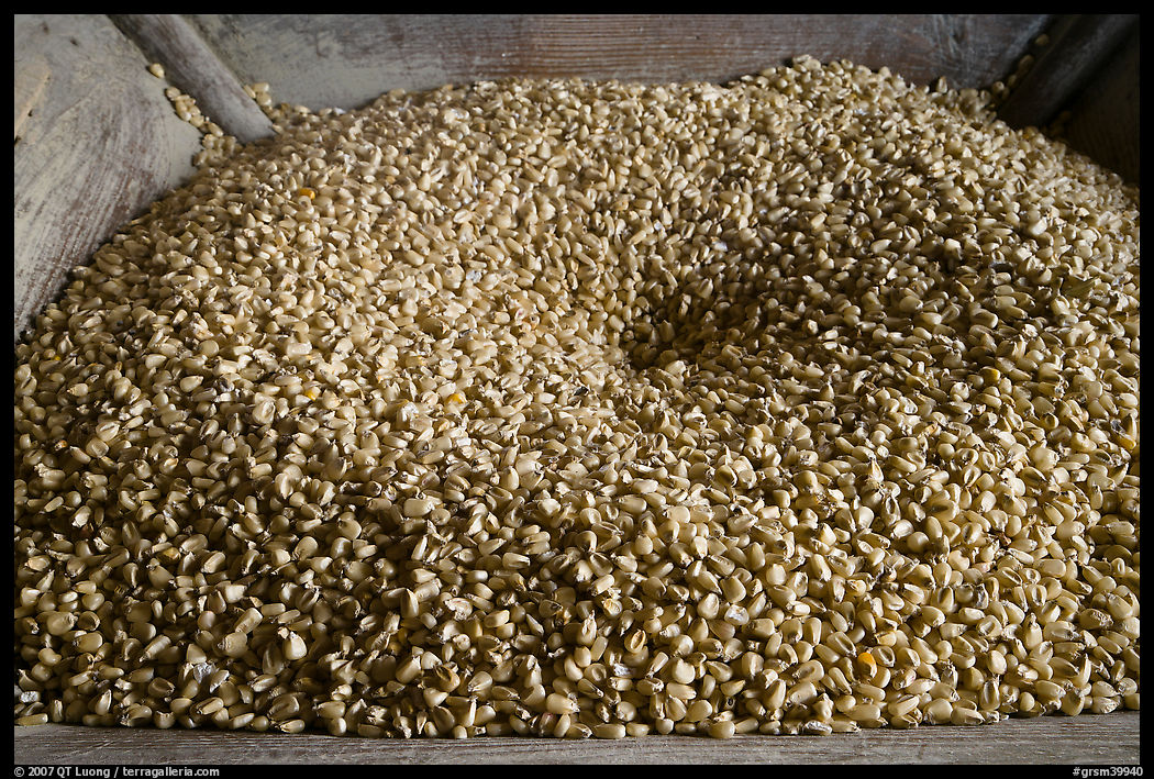Corn loaded onto grist mill, Mingus Mill, North Carolina. Great Smoky Mountains National Park, USA.