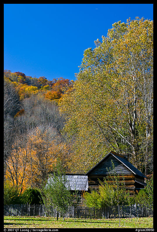 Historic log building in fall, Oconaluftee Mountain Farm, North Carolina. Great Smoky Mountains National Park, USA.