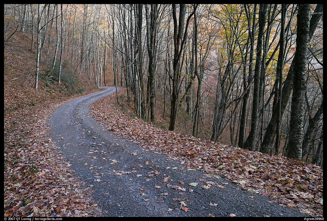 Balsam Mountain Road in autumn forest, North Carolina. Great Smoky Mountains National Park, USA.