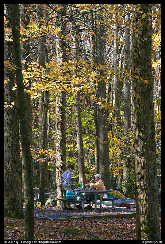 Family at picnic table in autumn forest, Tennessee. Great Smoky Mountains National Park, USA.