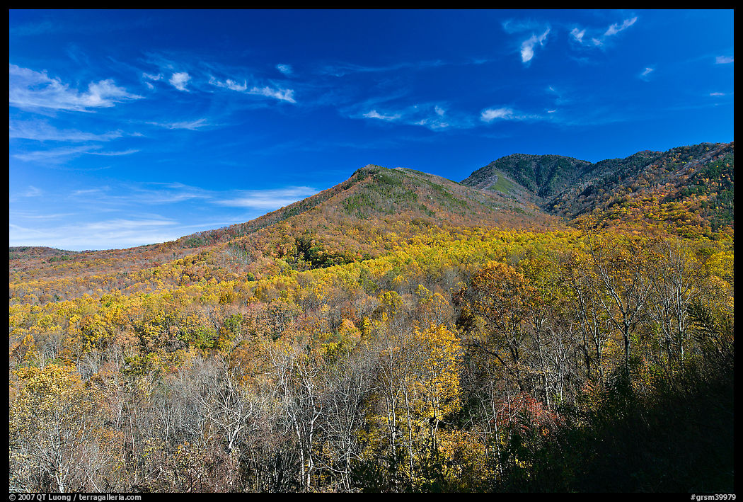 Slopes and hills in fall foliage with mountain behind, Tennessee. Great Smoky Mountains National Park, USA.