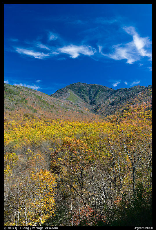 Mount Le Conte and slopes in autumn colors, Tennessee. Great Smoky Mountains National Park, USA.