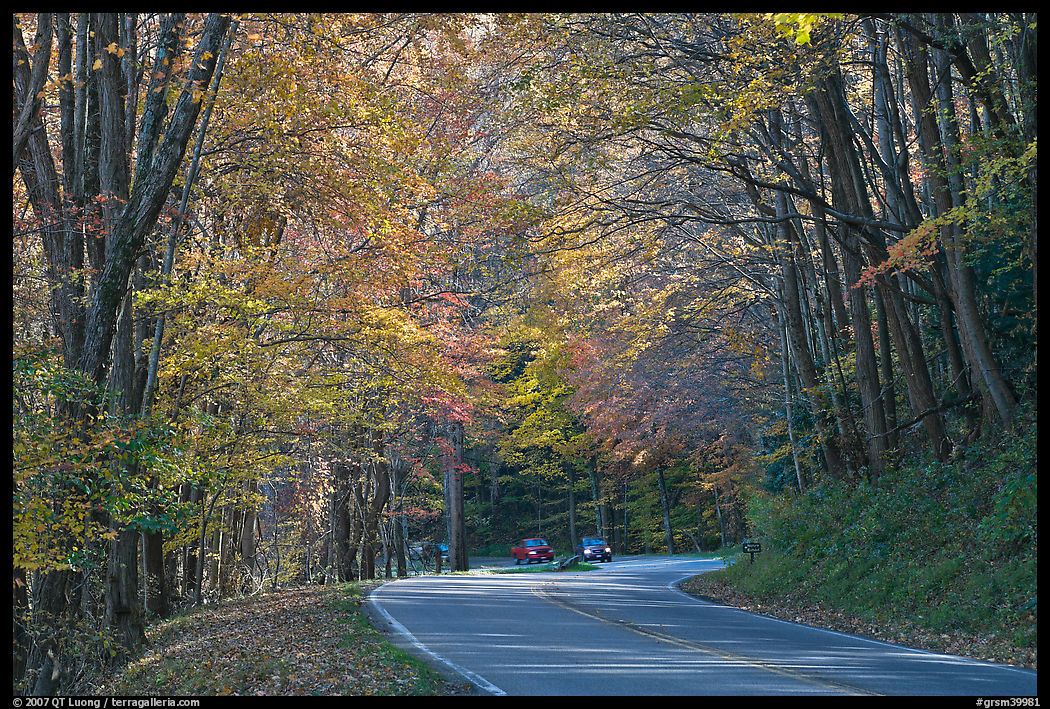 Newfoundland Gap road during the fall, Tennessee. Great Smoky Mountains National Park, USA.