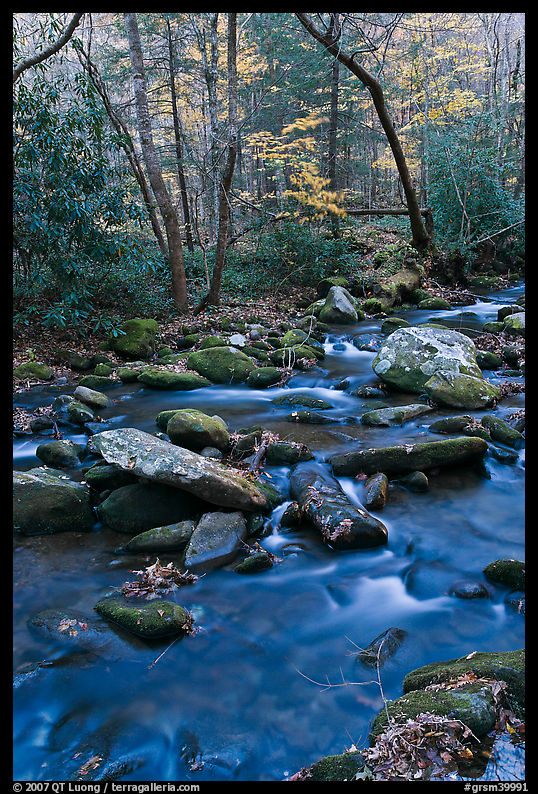 Stream in autumn, Roaring Fork, Tennessee. Great Smoky Mountains National Park