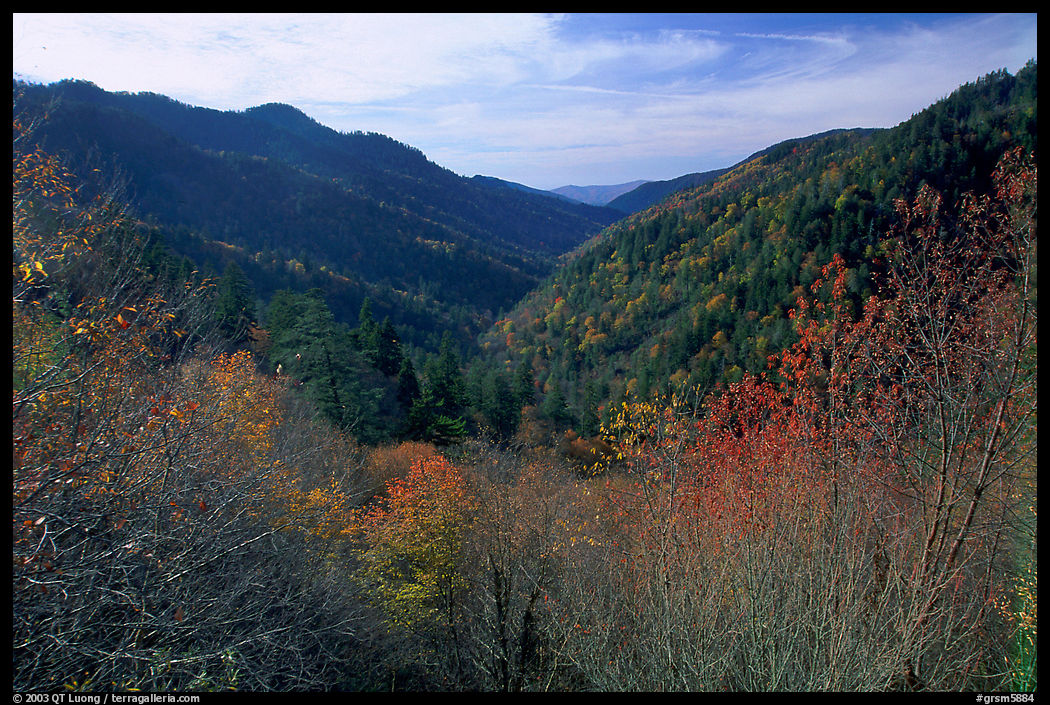 Valley covered with trees in late autumn, Morton overlook, Tennessee. Great Smoky Mountains National Park