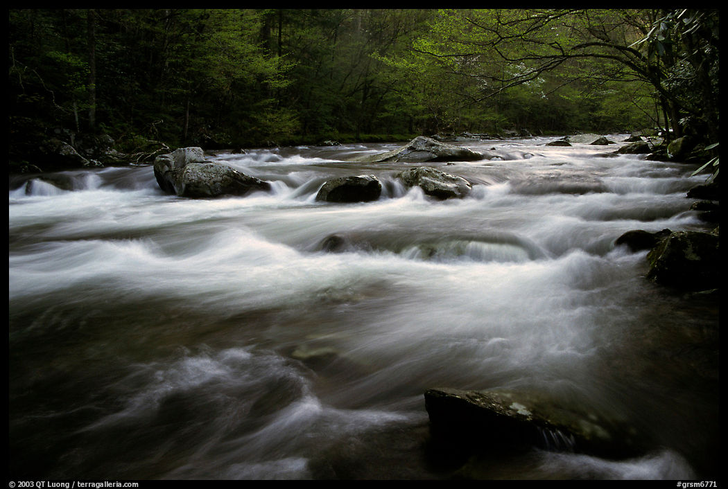 Little River flow, Tennessee. Great Smoky Mountains National Park, USA.