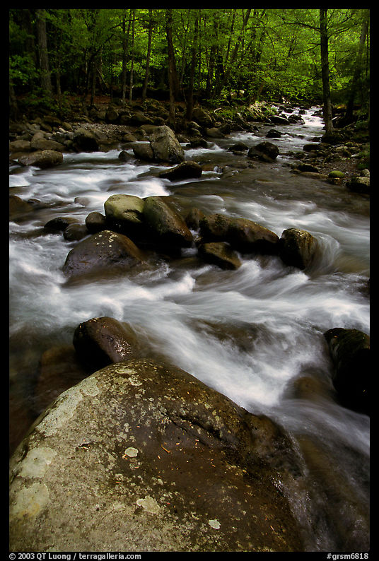 Boulders in confluence of rivers, Greenbrier, Tennessee. Great Smoky Mountains National Park, USA.