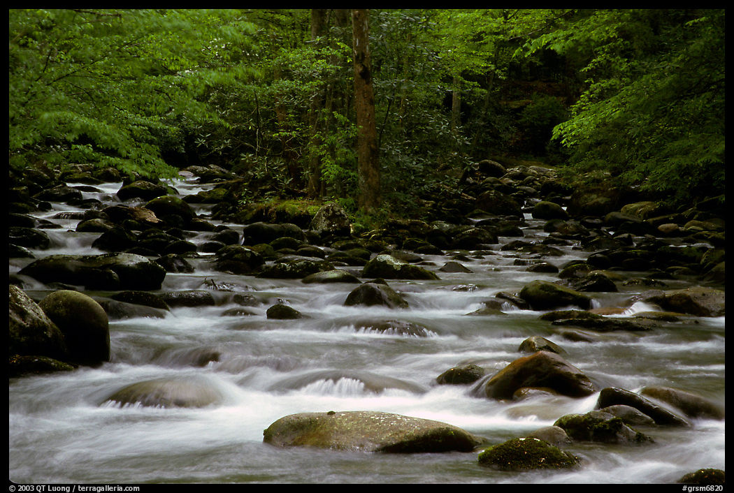 Middle Prong of the Little Pigeon River, Tennessee. Great Smoky Mountains National Park, USA.
