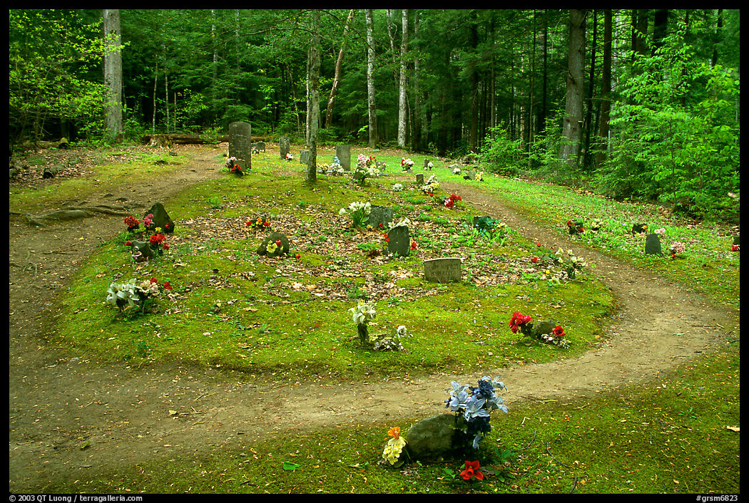 Pioneer Cemetery in forest clearing, Greenbrier, Tennessee. Great Smoky Mountains National Park, USA.
