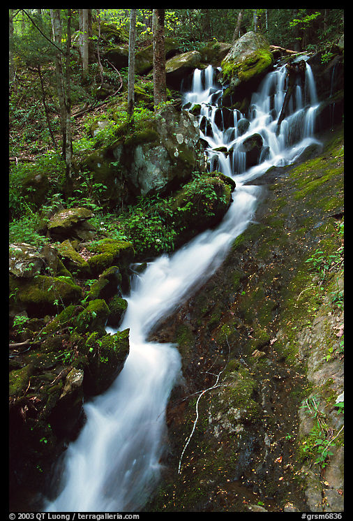 Small cascading stream, Treemont, Tennessee. Great Smoky Mountains National Park, USA.