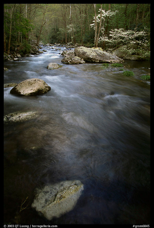 Flowing water, Middle Prong of the Little River, Tennessee. Great Smoky Mountains National Park, USA.