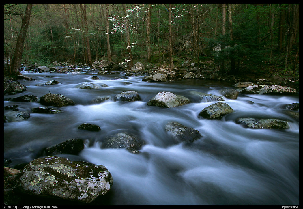 Water flowing over boulders in the spring, Treemont, Tennessee. Great Smoky Mountains National Park, USA.