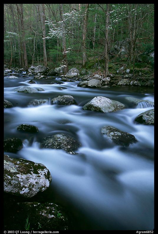 Boulders in flowing water, Middle Prong of the Little River, Tennessee. Great Smoky Mountains National Park, USA.