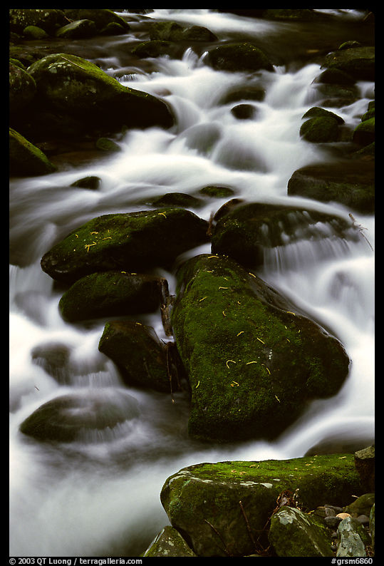 Stream flowing over mossy boulders, Roaring Fork, Tennessee. Great Smoky Mountains National Park, USA.