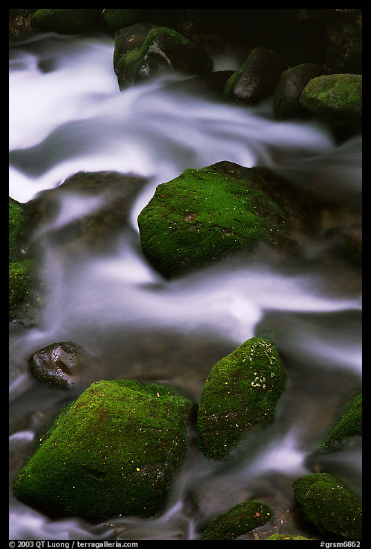 Mossy boulders and silky water, Roaring Fork River, Tennessee. Great Smoky Mountains National Park