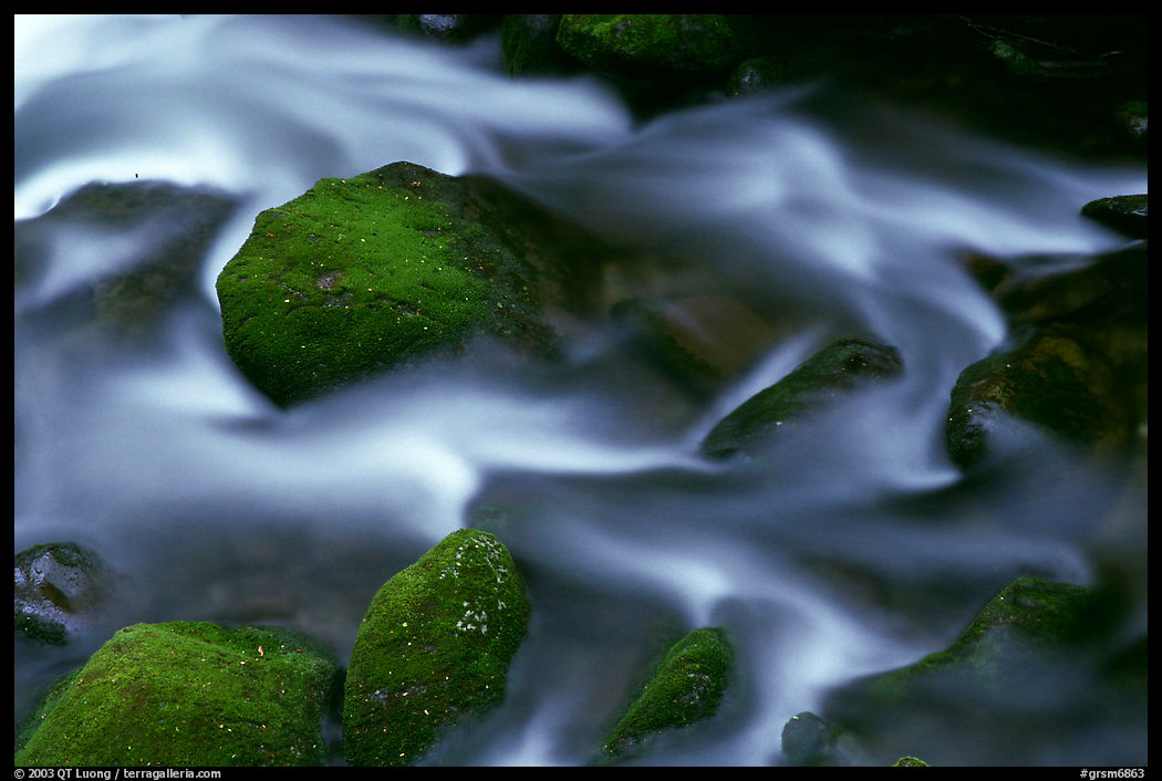 River flow and boulders covered with moss, Tennessee. Great Smoky Mountains National Park