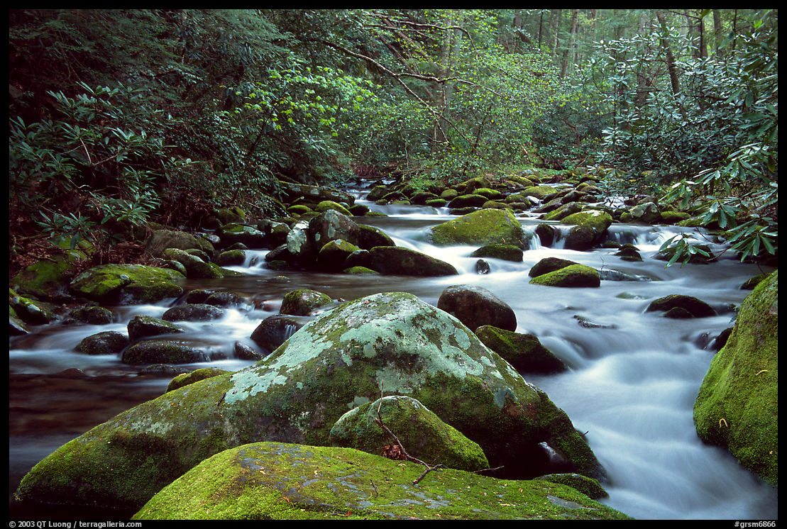 River cascading along mossy boulders, Roaring Fork, Tennessee. Great Smoky Mountains National Park, USA.