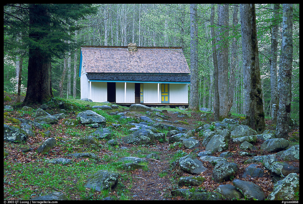 Alfred Reagan saddlebag house, Tennessee. Great Smoky Mountains National Park, USA.