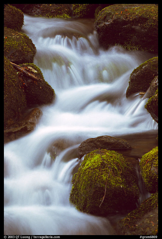 River Cascading, Roaring Fork, Tennessee. Great Smoky Mountains National Park, USA.